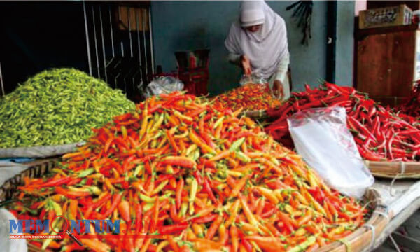 Harga Cabai di Sumenep Melonjak hingga Rp 110 Ribu