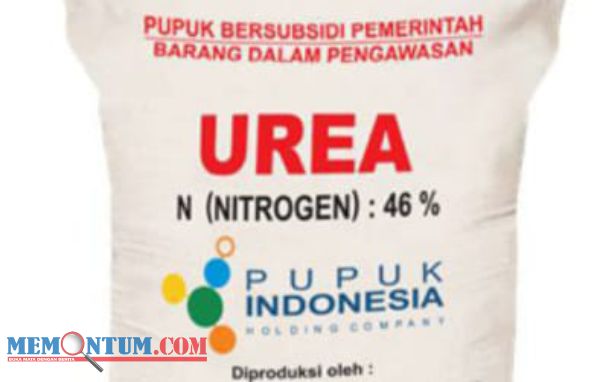 Keberadaan Pupuk Subsidi Dikeluhkan Petani Sumenep, DKPP Minta Temuan di Lapangan Dilaporkan